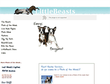 Tablet Screenshot of littlebeasts.com